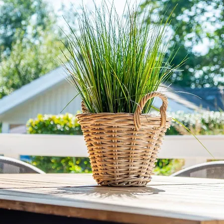 Strandblick - Dorf 1 03 Priwall